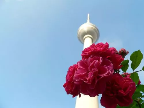 berlin-fernsehturm