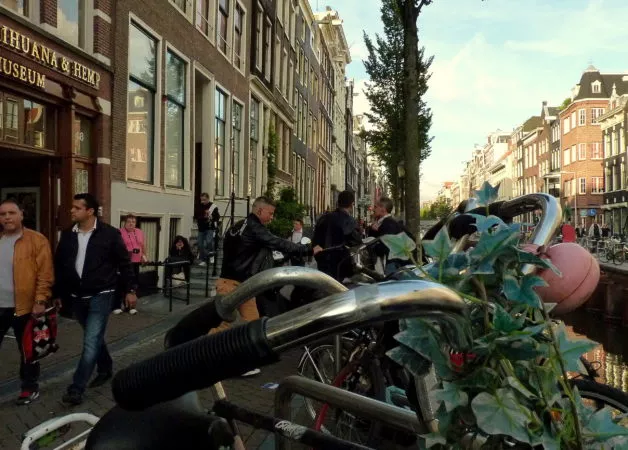 Viele Fahrräder in einer Reihe in Amsterdam