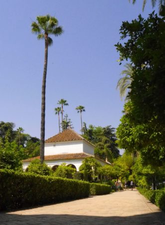 Allee mit Palmen in der Gartenanlage im Alcazar von Sevilla