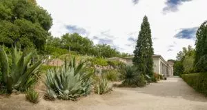 Botanischer Garten in Madrid