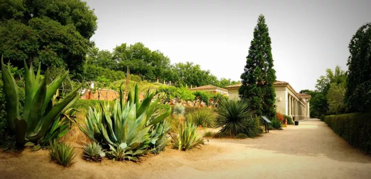 Oberer Bereich mit Hartgewächesen und dem Ausstellungsgebäude im botanischen Garten von Madrid