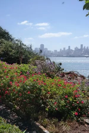 Die Gärten von Alcatraz