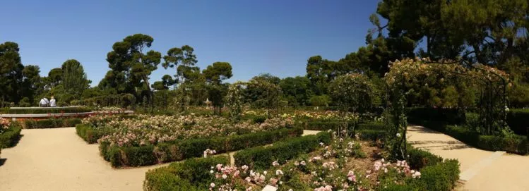 Panorama des Rosengarten im Retiro Park