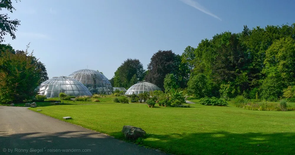 Botanischer Garten in Zürich