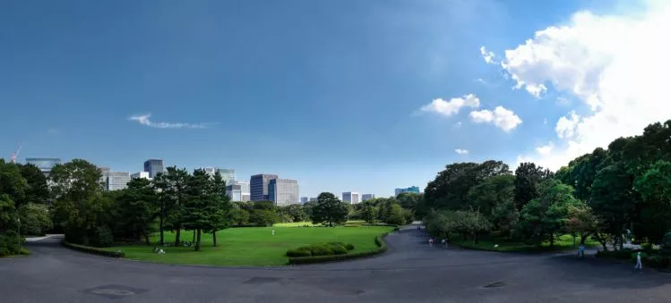 Wiese mit Skyline von Tokio