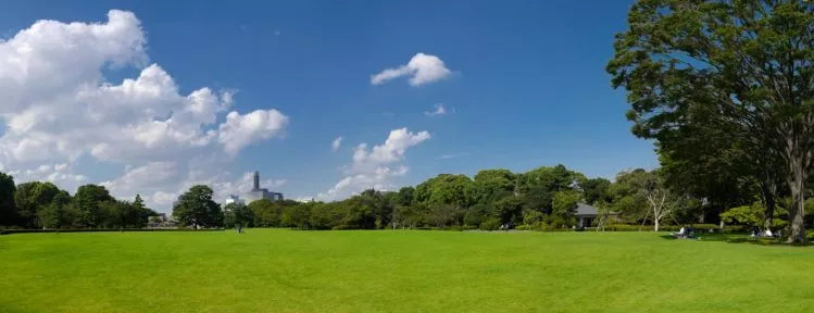 Foto: Wiese im Ostpark in Tokio
