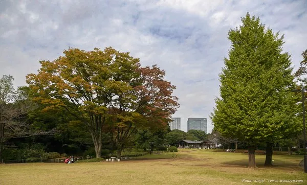 Foto: Grünanlage im Kitanomaru Park in Tokio