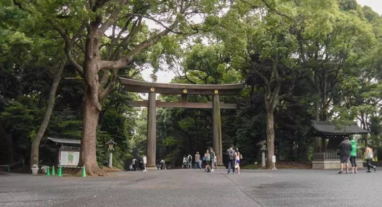 Tori am Park zum Meiji Shrine