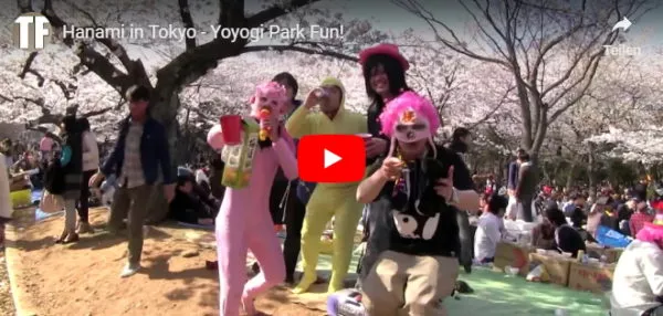 Video vom Yoyogi Park in Tokio zu Hanami