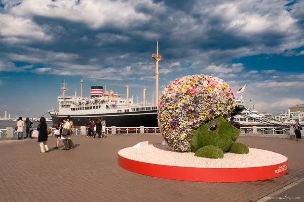 Bild: Blumenigel und Museumsschiff NYK Hikawa maru