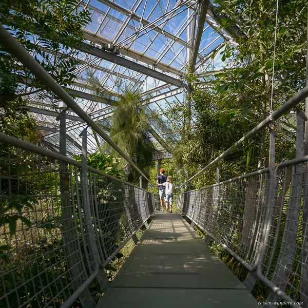 Bild: Hochweg im Tropenhaus Botanischer Garten Amsterdam