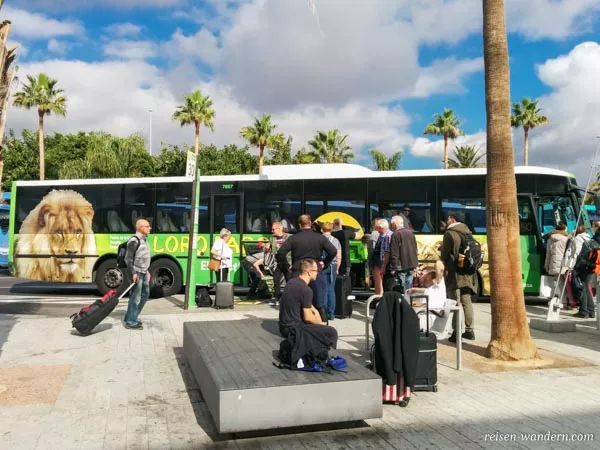 Bushaltestelle auf Teneriffa mit Bussen