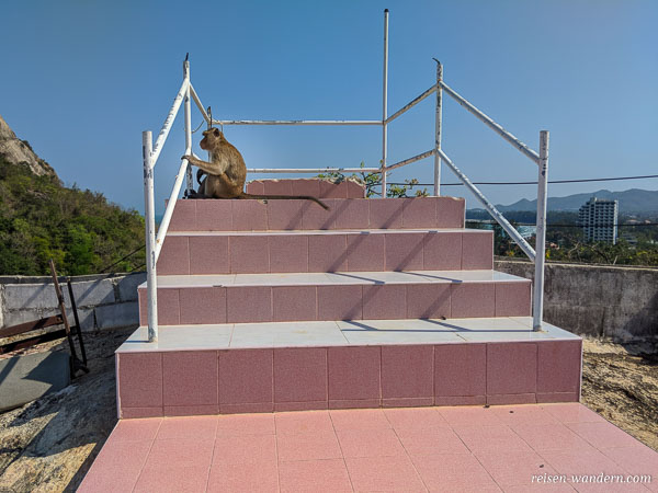 Affe auf einer Treppe des Wat Khao Takiab in Hua Hin