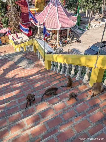 Treppe zum Wat Khao Takiab in Hua Hin mit vielen Affen