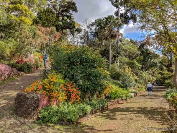 Botanischer Garten Jardim Botânico da Madeira in Funchal