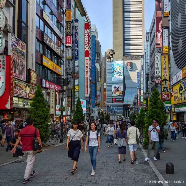 Godzilla Road in Kabukicho in Shinjuku