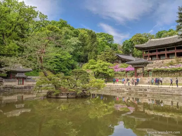 Secret Garden beim Changdeokgung Palace in Seoul