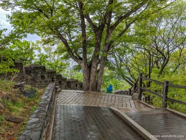 Stadtmauer mit Treppe im Namsan Park