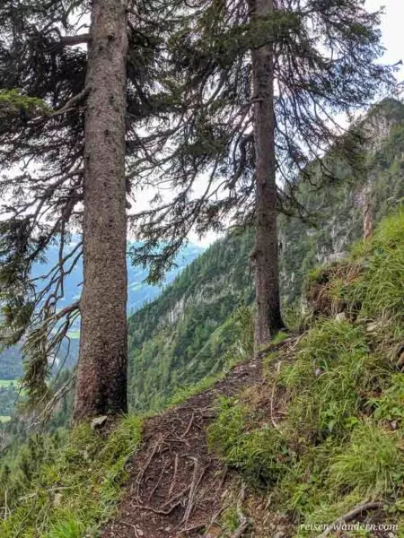Bäume mit Gipfelbuch vom Siega Klettersteig