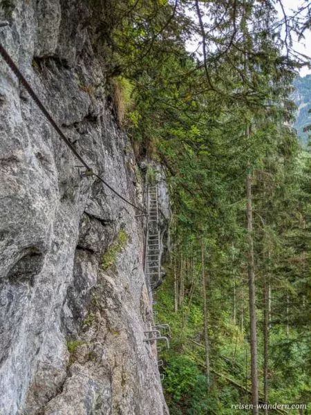 Leiterin und Eisenkramppen an Felswand des Schmied-Klettersteig