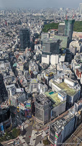 Blick vom Shibuya Sky auf die Shibuya Kreuzung