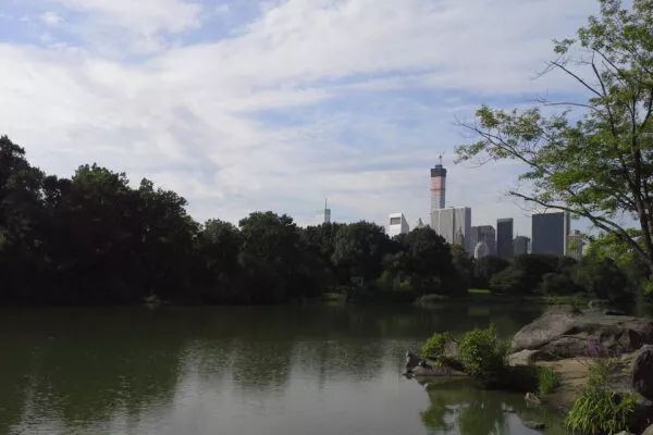 Hinter einem See im Central Park sieht man Wolkenkratzer hervorragen