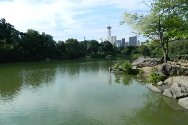 Ein See des Central Parks und die Skyline New Yorks im Hintergrund