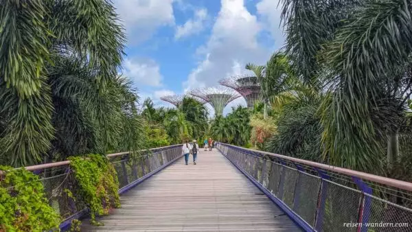 Dragonfly Bridge beim Gardens by the Bay