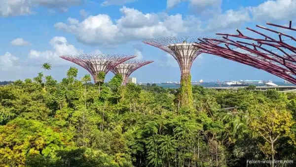 Supertrees im Gardens by the Bay in Singapure