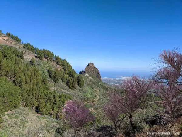 Aussicht von der Caldera de Los Marteles