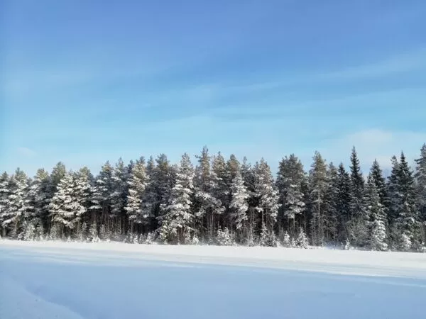 Blauer Himmel und eine Schneelandschaft