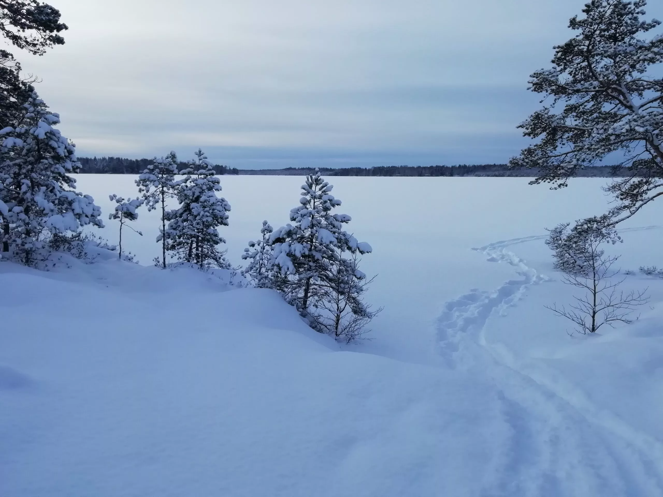 Eine Schneelandschaft meines Finnland-Urlaubs