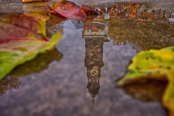 In einer Pfütze schwimmen bunte Blätter, während sich in ihr die Hamburger Kirche St. Michaelis spiegelt