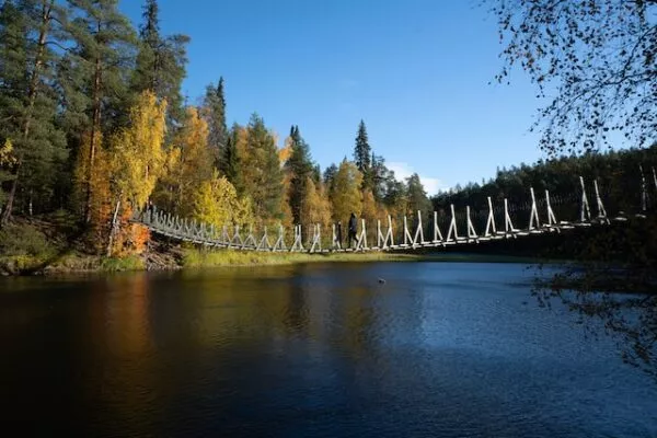 Eine Hängebrücke über Wasser, am Ufer ein herbstlich anmutender Wald