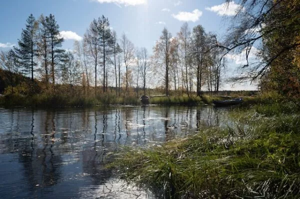 Wasser und Bäume in Finnland bei strahlendem Sonnenschein und blauem Himmel