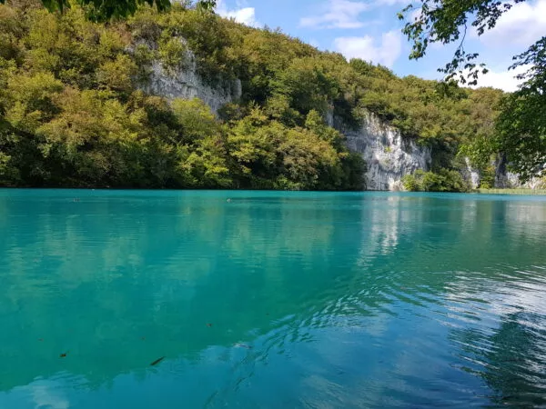 Ein türkisfarbener See und im Hintergrund saftige grüne Wälder