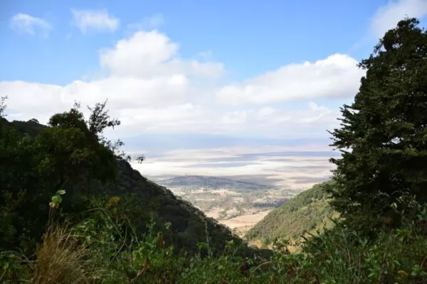 Ausblick vom Rande des Ngorongoro-Kraters