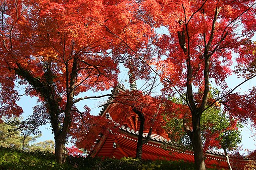 Durch Bäume mit feuerroten Blättern ist das ebenfalls rote Dach einer Pagode zu erkennen 