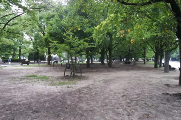 Ein Park mit staubigem Fußboden, dafür aber saftig grünen Bäumen 