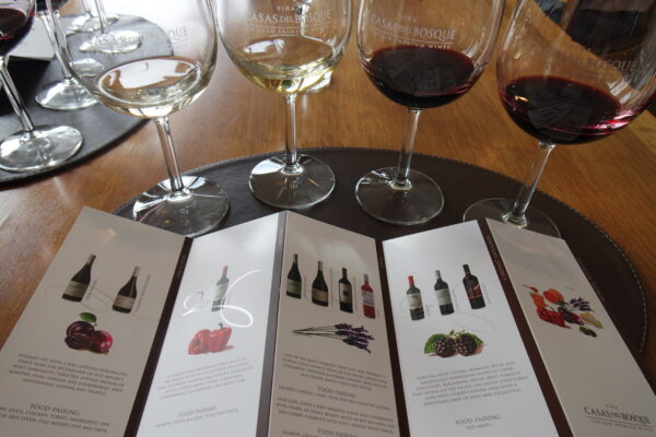 Auf einem Tisch stehen 4 gefüllte Weingläser. Davor liegt eine aufklappbare Broschüre mit genauen Informationen zu den jeweiligen Weinen. 