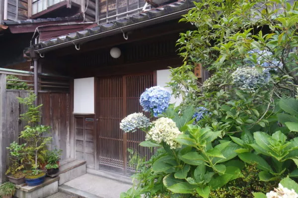 Ein altes Gebäude aus Holz, davor Büsche mit weißen und blauen Blüten 