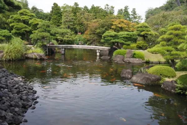 Eine japanische Gartenanlage mit Teich, über den eine kleine Steinbrücke führt