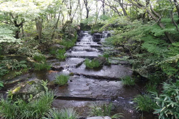 Ein Bach mit natürlichen Steinstufen umgeben von einem Wald