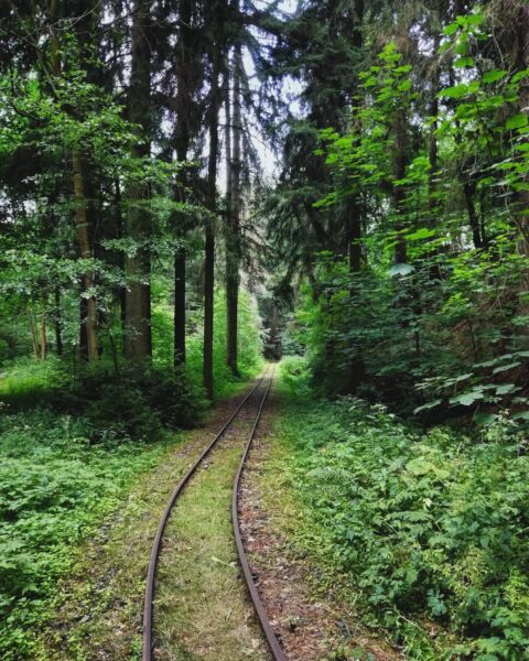 Eisenbahnschienen im Thüringer Wald