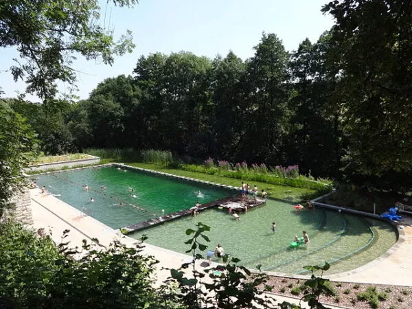 Menschen schwimmen im Zschonergrundbad, das von Bäumen umgeben ist. 